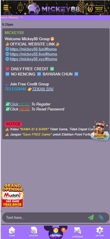 Mickey88 - Livechat - magnum888m